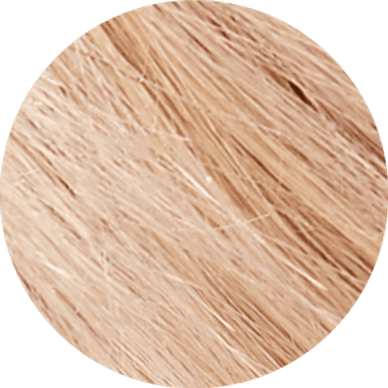 Tints of Nature 10N Natural Platinum Blonde