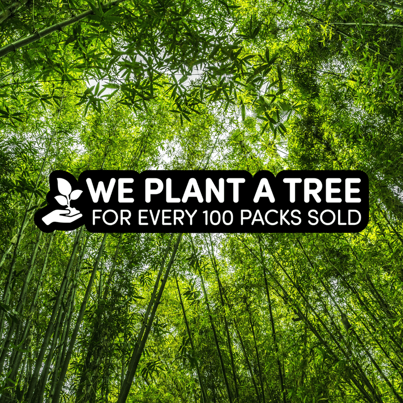 OIAMIGA Plum 4.22 hårfarge